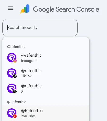 Google Search Console platform properties for Instagram, TikTok, X and YouTube